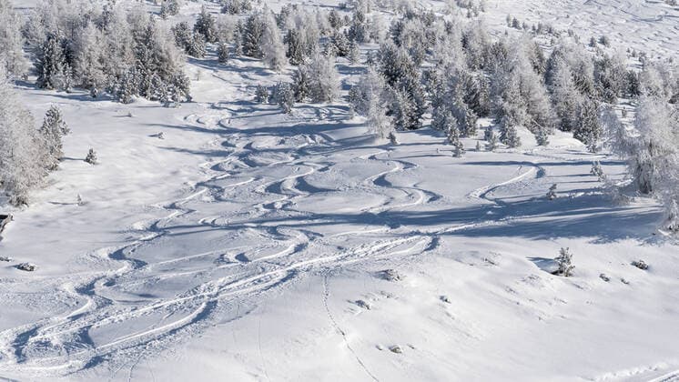 26.12.2020 Gipfel Patscherkofel, Tirol, Austria Skispuren, Ski-Spuren im Tiefschnee freies Skigelände Skifahren, Snowboardfahren abseits gesicherter Skipisten Snowboard-fahren Winter, Winterlandschaft Skitour Spuren von Tourengehern, Skitourengehern