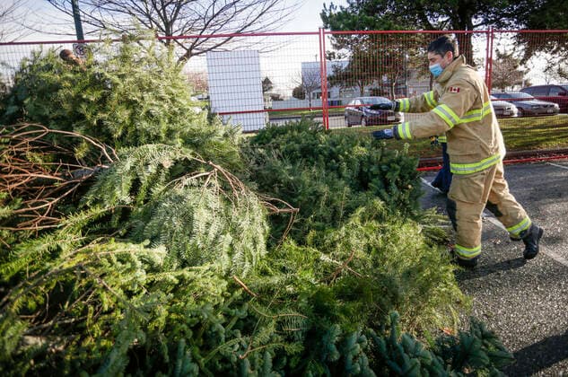 (210103) -- RICHMOND (CANADA), Jan. 3, 2021 -- A firefighter collects Christmas trees at the annual Christmas tree chipping event in Richmond, British Columbia, Canada, on Jan. 3, 2021. Firefighters volunteered to help residents recycle their Christmas trees at the annual tree chipping event. (Photo by Xinhua) CANADA-RICHMOND-FIREFIGHTERS-CHRISTMAS TREE CHIPPING LiangxSen 