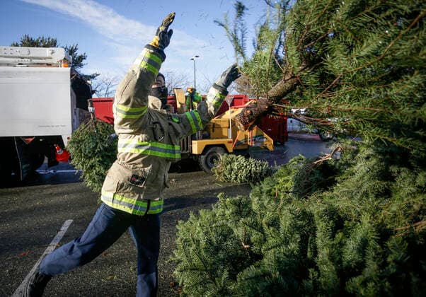 (210103) -- RICHMOND (CANADA), Jan. 3, 2021 -- A firefighter collects a Christmas tree at the annual Christmas tree chipping event in Richmond, British Columbia, Canada, on Jan. 3, 2021. Firefighters volunteered to help residents recycle their Christmas trees at the annual tree chipping event. (Photo by Xinhua) CANADA-RICHMOND-FIREFIGHTERS-CHRISTMAS TREE CHIPPING LiangxSen 