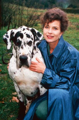 Tresko - Amigo Affäre Tresko - Amigo Affäre, Fernsehfilm, Deutschland 1996, Regie: Hajo Gies, Darsteller: Gudrun Landgrebe mit Dogge, Deutschland *** Tresko Amigo Affäre Tresko Amigo Affäre, television film, Germany 1996, directed by Hajo Gies, starring Gudrun Landgrebe with Great Dane, Germany Copyright: FrankxHempel Nur redaktionelle Nuztung. Editorial usage only. UnitedArchivesTT_590195 EDITORIAL USE ONLY