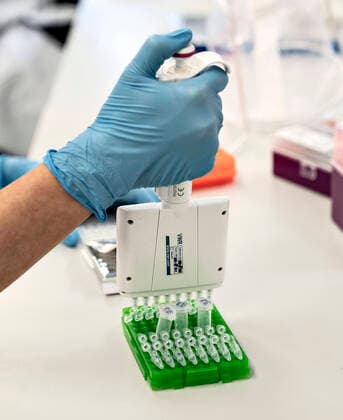 Forskere paa Aalborg Universitet arbejder med at analysere alle positive danske coronaproever for den engelske virusvariant cluster B.1.1.7, fredag den 15. januar 2021. Det foregaar paa Institut for Kemi og Biovidenskab under ledelse af professor Mads Albertsen og resultaterne sendes hver dag til Statens Serum Institut. Her kan man saa starte en smitteopsporing.. , Aalborg Jylland Denmark Copyright: HenningxBagger HenningxBaggerx COP103 spdk20210115-130105-L