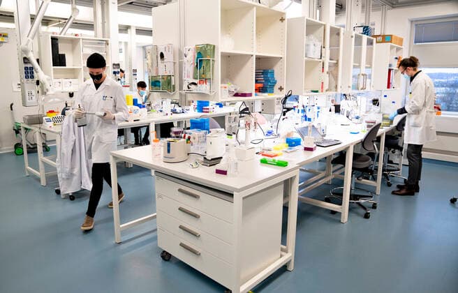 Forskere paa Aalborg Universitet arbejder med at analysere alle positive danske coronaproever for den engelske virusvariant cluster B.1.1.7, fredag den 15. januar 2021. Det foregaar paa Institut for Kemi og Biovidenskab under ledelse af professor Mads Albertsen og resultaterne sendes hver dag til Statens Serum Institut. Her kan man saa starte en smitteopsporing.. , Aalborg Jylland Denmark Copyright: HenningxBagger HenningxBaggerx COP103 spdk20210115-131027-L