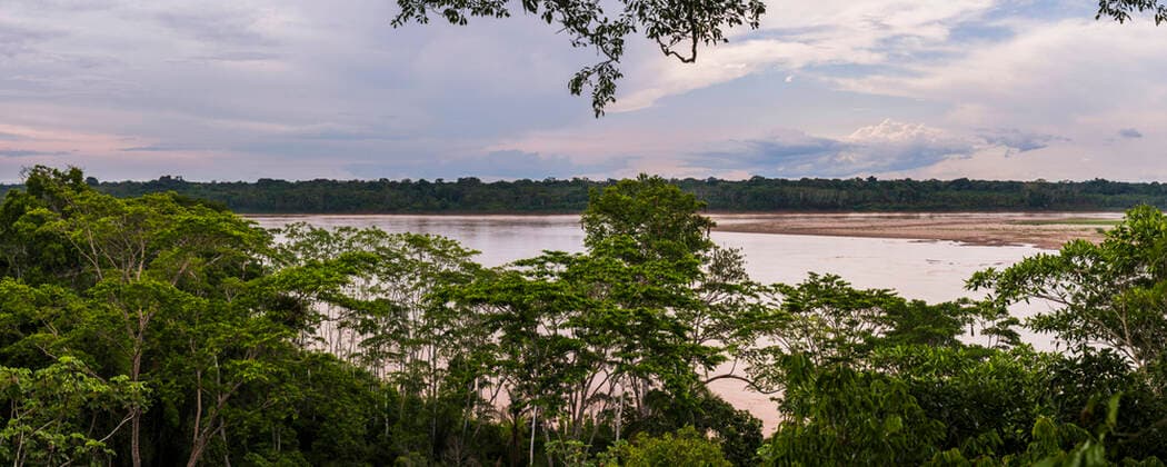 IMAGO Nature: Unsere Erde, Naturschutz, Naturschutzgebiete in Südamerika Madre de Dios River, Tambopata National Reserve, Puerto Maldonado Amazon Jungle area of Peru MatthewxWilliams-Ellis,xwww.matthewwilliams-ellis.com YES 20200828 1051_rf_23_mwe_08790
