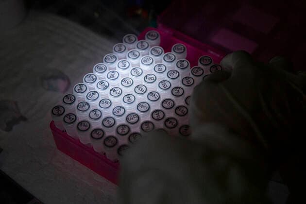 December 11, 2020, Thailand: Various blood and tissue samples are seen at a makeshift lab across the road from the Khao Chong Pran Cave on Friday, December 11, 2020, in Ratchaburi, Thailand. Researchers, led by Dr. Supaporn Wacharapluesadee, consisting of scientists, ecologists, and officers from Thailand s National Park Department, have been collecting blood, tissue, saliva and fecal samples from numerous missions throughout Thailand s countryside, in an effort to understand the origins of the COVID-19 virus. Dr. Supaporn Wacharapluesadee and her team at the Thai Red Cross Emerging Infectious Diseases-Health Science Center at Chulalongkorn University, were the first in the world to analyze and confirm a COVID-19 case outside of China and h - ZUMAm249 20201211_zip_m249_019 Copyright: xAndrexMalerbax