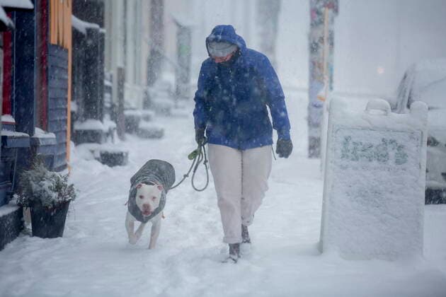 January 21, 2021, St. John S, NL, Canada: A woman and her dog walk along Duckworth Stret in St. JohnÃ¢â‚¬â ¢s NL on Thursday, January 21, 2021 as the first major snow storm of the winter starts to ramp up. St. John S Canada  - ZUMAc35_ 20210121_zaf_c35_076 Copyright: xPaulxDalyx