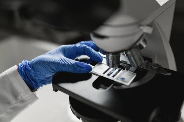 IMAGO Creative: Bildung, Wissenschaftserziehung Crop anonymous scientist in protective gloves putting sample under microscope lens while conducting chemical research in laboratory, Model released Copyright: xCarlosxPintaux MR