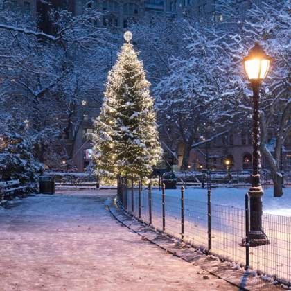 USA, New York, New York City, Illuminated Christmas tree in Madison Square Park at night AHF00063