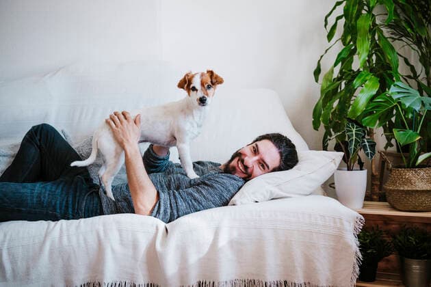 IMAGO Creative: Jahreszeit Winter, Couching Happy man smiling while playing with pet lying on sofa at home model released Symbolfoto property released EBBF01796