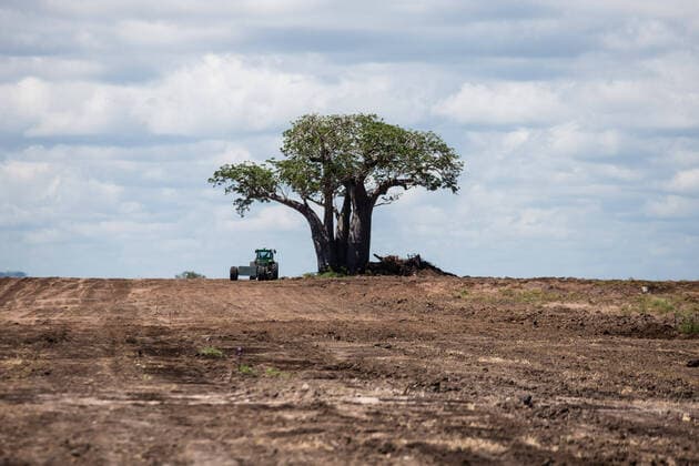 September 21, 2020, Dar Es Salaam, Saadani, Tanzania: A Baobab Tree stands alone in an area cleared of forest and overgrowth with a tractor parked next to it showing the incredible magnitude of the indigenous tree at Saadani National Park..Saadani National Park is Tanzania s 13th National Park. It has an area of 1062 km2 and was officially gazetted in 2005, from a game reserve which had existed from 1969. It is the only wildlife sanctuary in Tanzania bordering the sea. Dar Es Salaam Tanzania - ZUMAs197 20200921_zab_s197_053 Copyright: xMarcusxValancex