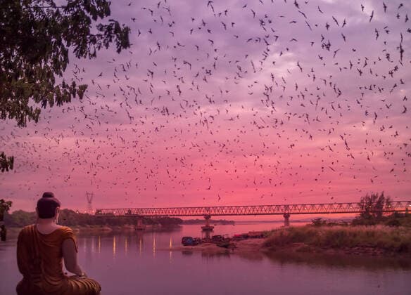A stream of bats leaving their cave - Hpa-An, Myanmar (Burma) Million of bats leaving their cave at dusk *** Ein Strom von Fledermäusen, die ihre Höhle verlassen Hpa An, Myanmar Burma Millionen von Fledermäusen verlassen ihre Höhle in der Abenddämmerung Copyright: xx