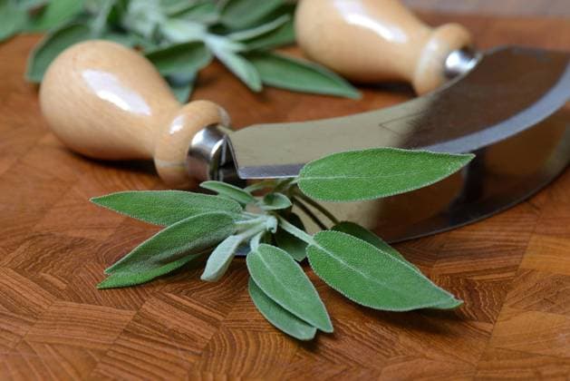  Salbeiblätter (Salvia officinalis) und Wiegemesser *** Sage leaves Salvia officinalis and cradle knife Copyright: imageBROKER/J.xPfeiffer iblpjr05186398.jpg