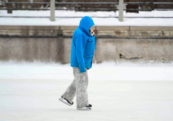 January 28, 2021, Ottawa, on, Canada: Andy S. skates with his dog Stella in his jacket on the Rideau Canal Skateway on its opening day in Ottawa, on Thursday, Jan. 28, 2021, in the midst of the COVID-19 pandemic. The Rideau Canal is a UNESCO World Heritage Site. Ottawa Canada  - ZUMAc35_ 20210128_zaf_c35_012 Copyright: xJustinxTangx