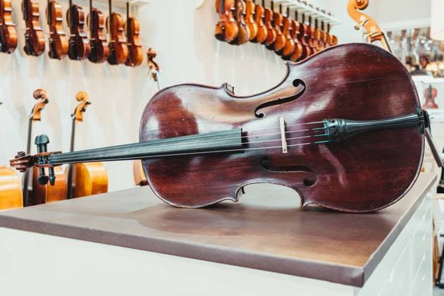 IMAGO Creative: Kreative Renaissance -- der junge Entrepreneur Dark wood cello placed on counter against wall with assorted acoustic musical instruments in modern light shop Copyright: xJavierxBallesterx Model Released