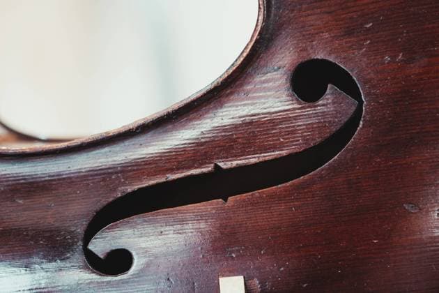 IMAGO Creative: Bildung, Musikerziehung Dark wood cello placed on counter against wall with assorted acoustic musical instruments in modern light shop Copyright: xJavierxBallesterx Model Released
