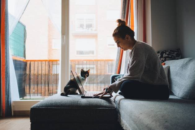 IMAGO Creative: Jahreszeit Winter, Couching Crop of young female freelancer in casual clothes sitting on comfortable couch and working remotely on laptop near cute calico cat Copyright: xMiguelxPalomox Model Released
