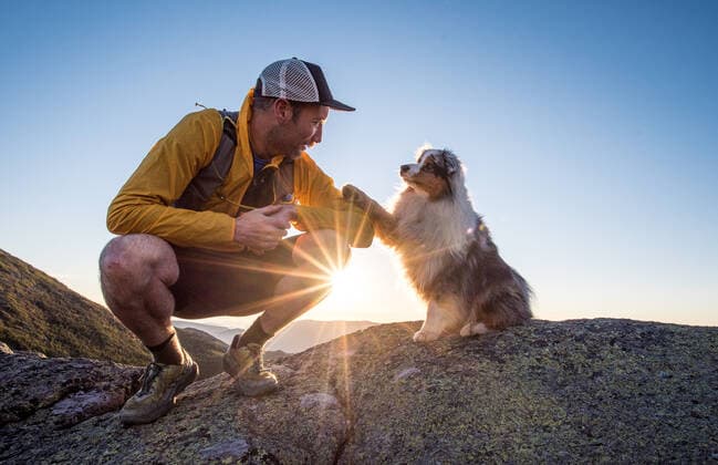 Dog paws his owner?s arm during sunrise in the mountains Pinkham s Grant, NH, United States CR_BRDO210119B-595669-01 ,model released, Symbolfoto