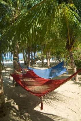 Hammocks on a beach in Jamaica., Jamaica, 27.01.2021 Copyright: xNataliexTepper xArcaidxImagesx, Ref11448-90-1.jpg Tropical,No People,The Caribbean,Jamaica,Vertical,Colour Image,Photography,High Angle View,Flora,Woody Plant,Tree,Evergreen Tree,Palm Tree,Land,Coastal Feature,Beach,Sandy Beach,Water,Ocean,Caribbean Sea,Outdoors,Day,Travel,Place Of Interest,Travel Destinations,Vacations  Copyright: xNataliexTepper arcaid.co.ukx