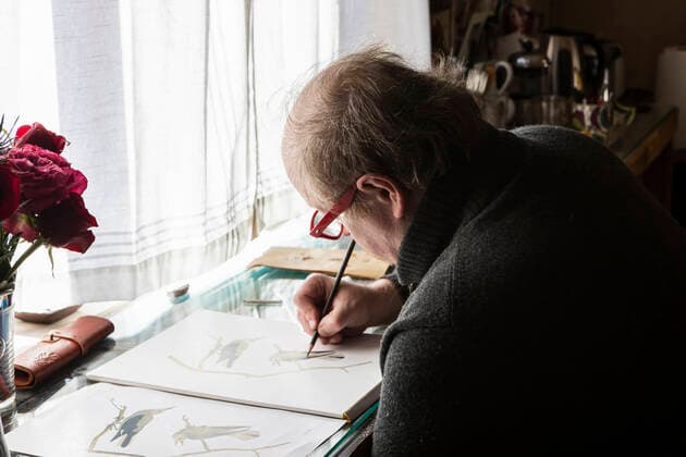 Mature artist at work drawing on paper, a wildlife study of birds. USA,Mature artist at work drawing on paper, a wildlife study of birds.  Mature artist at work drawing on paper, a wildlife study of birds.