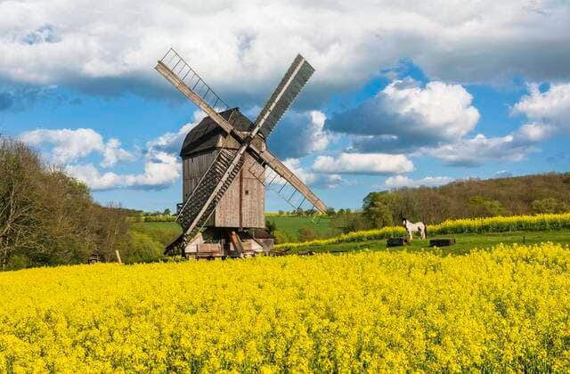 Bockwindmühle im Rapsfeld, Fahner Höhe, Ballstädt, Gotha, Thüringen, Deutschland, Europa Copyright: imageBROKER/AndreasxVitting iblavi06688785.jpg
