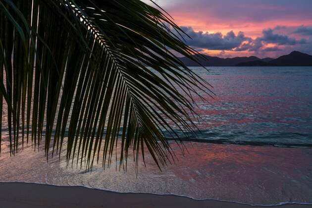 Palmwedel im Sonnenuntergang, La Digue, Seychellen, Afrika Copyright: imageBROKER/SylviaxWestermann ibxsyl06680572.jpg
