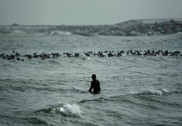 February 12, 2021, Toronto, on, Canada: A man waits to catch a wave along side Canadian Geese as he surfs in the frigid ice cold waters of Lake Ontario during the COVID-19 pandemic in Toronto on Friday, February 12, 2021. Toronto Canada  - ZUMAc35_ 20210212_zaf_c35_030 Copyright: xNathanxDenettex