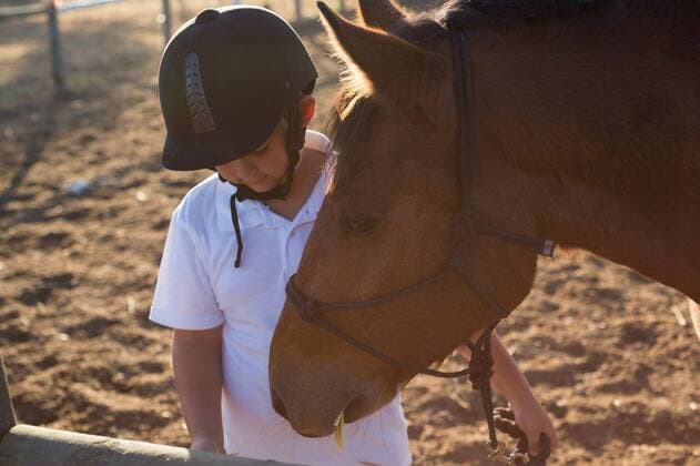 IMAGO Creative: Klub-Sport Boy feeding the horse in the ranch Boy feeding the horse in the ranch on a sunny day, model released, , property released, Cape Town, South Africa, 2017-05-02T23:00:00.000Z, 1052975.jpg, rider, countryside, farm, ranch, summer, summertime, casual clothing, standing, feeding, hay, straw, fodder, muzzle, reins, black, pony, helmet, thoroughbred, stallion, horse, domestic animal, horse riding, equestrian, vacation, holiday, lifestyle, hobby, leisure, friendship, love, bonding, care, together, childhood, innocence Child, Boy, Male, Caucasian, 8-9 Years, Boys, Caucasian Ethnicity