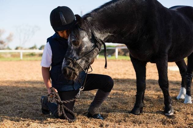 IMAGO Creative, Kinder auf dem Reiterhof Rider boy caressing a horse in the ranch Rider boy caressing a horse in the ranch on a sunny day, model released, , property released, Cape Town, South Africa, 2017-05-02T23:00:00.000Z, 1053045.jpg, rider, countryside, farm, ranch, summer, summertime, casual clothing, helmet, standing, caressing, touching, neck, black, pony, thoroughbred, stallion, horse, domestic animal, horseback, horse riding, equestrian, training, reins, vacation, holiday, lifestyle, hobby, leisure, friendship, love, bonding, together, childhood, innocence Child, Boy, Male, Caucasian, 8-9 Years, Boys, Caucasian Ethnicity Outdoors,Day