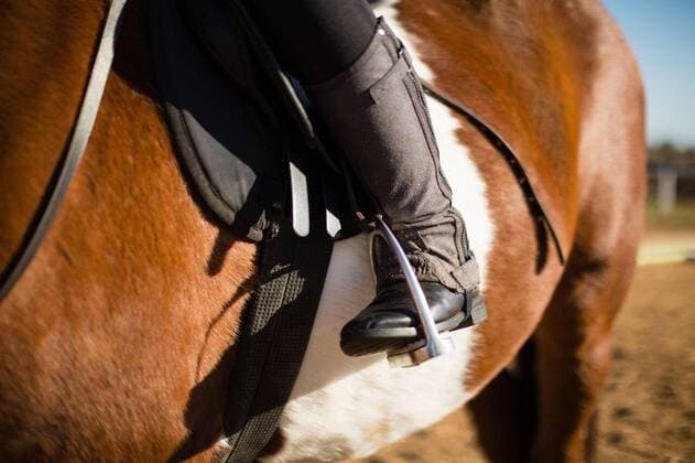 IMAGO Creative, Kinder auf dem Reiterhof Boy riding a horse in the ranch Mid-section of boy riding a horse in the ranch, model released, , property released, Cape Town, South Africa, 2017-05-02T23:00:00.000Z, 1053061.jpg, rider, countryside, farm, ranch, summer, summertime, casual clothing, part of, sitting, white, pony, thoroughbred, stallion, horse, domestic animal, horseback, horse riding, equestrian, training, vacation, holiday, lifestyle, hobby, leisure, childhood, innocence, learning, happy Child, Boy, Male, Caucasian, 8-9 Years, Boys, Caucasian Ethnicity Outdoors,Day