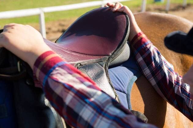 IMAGO Creative, Kinder auf dem Reiterhof Close-up of girl adjusting saddle on horse Close-up of girl adjusting saddle on horse in ranch, model released, , property released, Cape Town, South Africa, 2017-05-02T23:00:00.000Z, 1053139.jpg, rider, countryside, farm, ranch, sunny, summer, summertime, casual clothing, part of, hand, leather, seat, saddle, adjusting, preparing, preparation, stallion, horse, domestic animal, horseback, livestock, horse riding, sport, equestrian, training, vacation, weekend activity, recreation, holiday, lifestyle, hobby, leisure, childhood, comfortable Child, Girl, Female, Caucasian, 8-9 Years, Girls, Caucasian Ethnicity Outdoors,Day