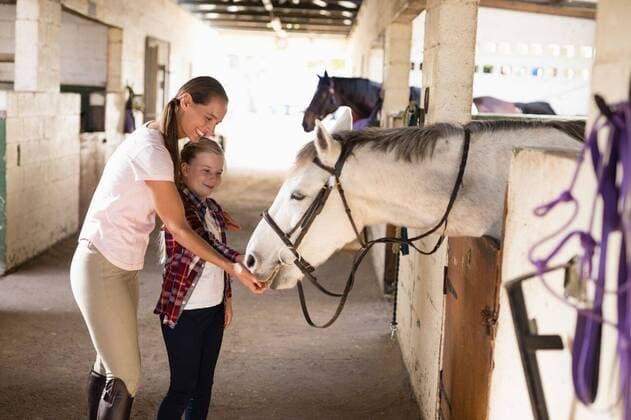 IMAGO Creative, Kinder auf dem Reiterhof Smiling sisters feeding horse Smiling sisters feeding horse while standing in stable, model released, , property released, Cape Town, South Africa, 2017-05-02T23:00:00.000Z, 1054518.jpg, horse, casual clothing, millennial, animal, one animal, mammal, livestock, herbivorous, domestic animal, animal themes, friendship, love, care, together, sports helmet, standing, jockey, occupation, horsewoman, rider, equestrian center, sunlight, bridle, stable, animal head, gate, sister, sibling, family, smiling, happiness, fully unbuttoned, toothy smile, feeding, eating, focus shot 20s, Young Adult, Woman, Female, Caucasian, Child, Girl, 20-24 Years, Young Women, Caucasian Ethnicity, 8-9 Years, Girls Indoors,Front view,Side view,Day,Three Quarter Length