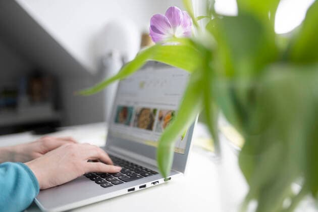 Female entrepreneur using laptop by tulip plant at table in home office model released Symbolfoto property released CHPF00744