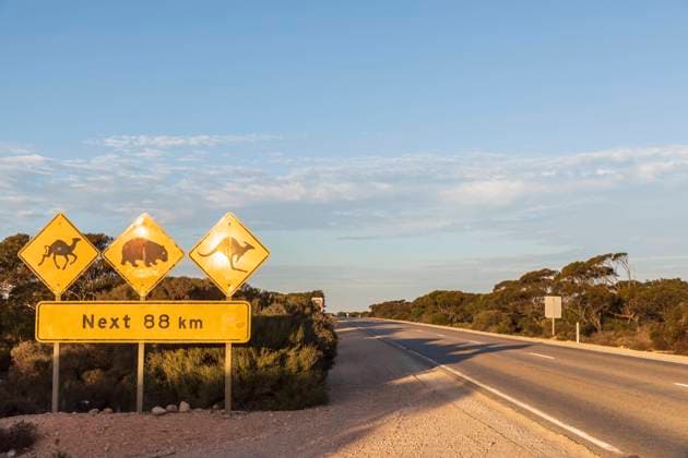 Australia, South Australia, Nullarbor Plain, Warning sign by Eyre Highway FOF12005