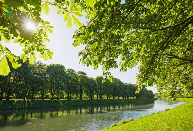 Germany, North Rhine-Westphalia, Cologne, Sun shining over treelined Decksteiner Weiher pond in spring GWF06860