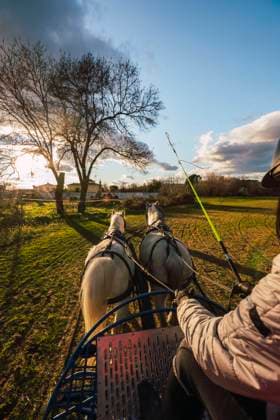 IMAGO Creative, Kinder auf dem Reiterhof Female rancher riding horse carriage in ranch during sunset model released Symbolfoto property released RSGF00515