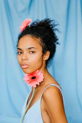 Serious female with curly black hair holding pink gerbera daisy against blue curtain model released Symbolfoto TCEF01520