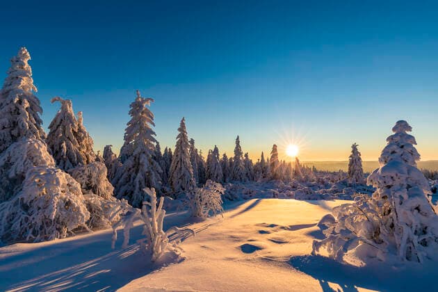 Germany, Baden Wurttemberg, Black Forest at sunrise in winter WDF06503