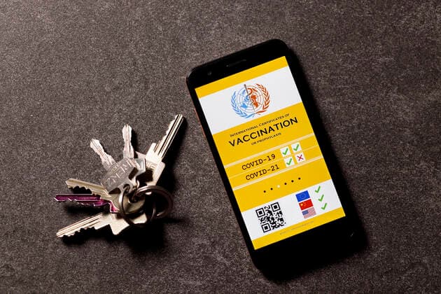 Eine mögliche Visualisierung des geplanten digitalen Impfpass. Die EU-Staats- und Regierungschefs hatten am Donnerstag eine europäische Lösung beim Corona-Impfpass beschlossen. (Themenbild, Symbolbild)