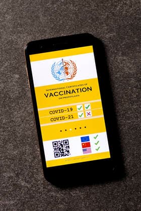 Eine mögliche Visualisierung des geplanten digitalen Impfpass. Die EU-Staats- und Regierungschefs hatten am Donnerstag eine europäische Lösung beim Corona-Impfpass beschlossen. (Themenbild, Symbolbild)