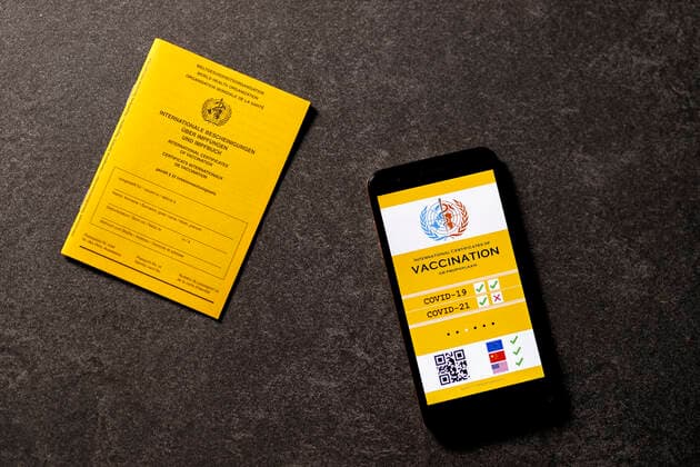 Eine mögliche Visualisierung des geplanten digitalen Impfpass liegt neben einem analogen Impfpass. Die EU-Staats- und Regierungschefs hatten am Donnerstag eine europäische Lösung beim Corona-Impfpass beschlossen. (Themenbild, Symbolbild)