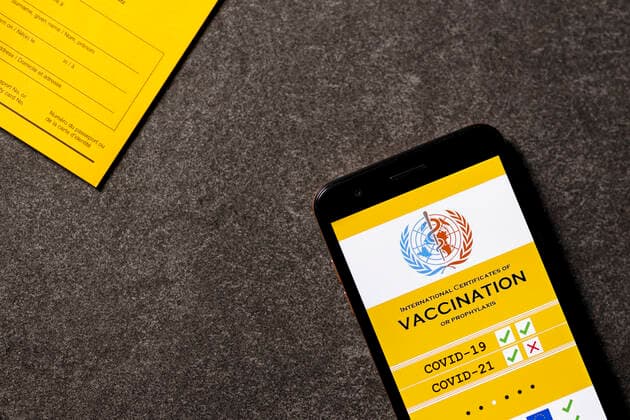 Eine mögliche Visualisierung des geplanten digitalen Impfpass liegt neben einem analogen Impfpass. Die EU-Staats- und Regierungschefs hatten am Donnerstag eine europäische Lösung beim Corona-Impfpass beschlossen. (Themenbild, Symbolbild)