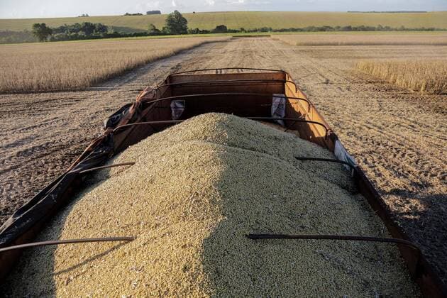 IMAGO Nature: Unsere Erde, Klimawandel, Ernährung, Pflanzen der Zukunft, Soja CAMPO MOURÃO, PR - 26.02.2021: PRODUTORES INICIAM COLHEITA DE SOJA NO PR - The 2020 21 summer grain harvest is expected to total 23.9 million tons in an area of 6.1 million hectares, according to the Department of Rural Economy (Deral), of the State Secretariat for Agriculture and Supply. The volume indicates a reduction of 4% compared to the 2019 2020 harvest. This month& 39;s report points out that both the climate and the occurrence of pests have reduced productivity and grain quality in some of the main crops in Paraná. In the photo, tractors, harvesters, trucks, rural workers and farmers during soybean harvest in Paraná. x2036651x  DirceuxPortugal