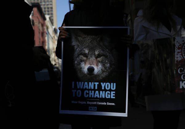 News Bilder des Tages PETA protesters wearing skull masks and fake Canada Goose coats holds signs at a protest outside of a Canada Goose retail store in New York City on Wednesday, March 3, 2021. The protest is part of a week of action that will also include Canada Goose protests in Beverly Hills, California, Boston and Pittsburgh.  NYP20210303105 JohnxAngelillo