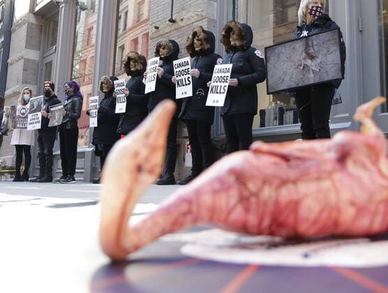 PETA protesters wearing skull masks and fake Canada Goose coats holds signs at a protest outside of a Canada Goose retail store in New York City on Wednesday, March 3, 2021. The protest is part of a week of action that will also include Canada Goose protests in Beverly Hills, California, Boston and Pittsburgh.  NYP20210303108 JohnxAngelillo