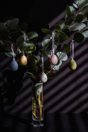Eucalyptus Branches decorated with Easter eggs in vase Chicago, IL, United States CR_YELE210304-666438-01