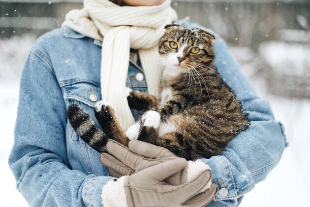 IMAGO Creative, Jahreszeit Winter in der Stadt Creative Highlights Symbolbilder Woman holding a cat in snow CR_INCH210305A-671613-01 ,model released, Symbolfoto
