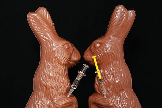 Osterfeier, Osterurlaub und Osterfreizeit wird in diesem Jahr von Corona begleitet sein. So mancher Osterhase kommt mit Schutz. Auch an Ostern ( Osterhase aus Schokolade ) wird Corona seine Spuren hinterlassen Osterfeier, Osterurlaub und Osterfreizeit wird in diesem Jahr von Corona begleitet sein. So mancher Osterhase kommt mit Schutz., Deutschland, Kuchen, Studio,06.03.2021