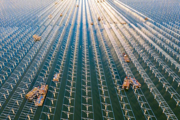 IMAGO Nature: Unsere Erde, Energiequellen, Photovoltaik March 5, 2021, Hefei, Anhui, China: The fish lighting complementary photovoltaic power station is busy on constructing in Hefei,Anhui,China on 05th March, 2021. Hefei China - ZUMAt151 20210305_zia_t151_013 Copyright: xTpgx