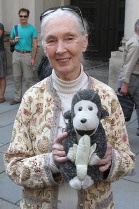 Dr. Jane Goodall und die Umwelthauptstadt: äJeder Jugendliche in Hamburg zõhlt!ô , Hamburg, Rathaus, 03.092011, Dr. Jane Goodall DBE (Dame of the British Empire) und Umweltsenatorin Jutta Blankau bei der Pressekonferenz, Schuelerinnen und Schueler der Stadtteilschule Blankenese ueberreichen Goodall eine Urkunde, die sie offiziell zur internationalen Botschafterin der Umwelthauptstadt Hamburg erklaert. *** Dr Jane Goodall and the Environmental Capital äEvery young person in Hamburg counts ô , Hamburg, City Hall, 03 092011, Dr Jane Goodall DBE Dame of the British Empire and Senator for the Environment Jutta Blankau at the press conference, pupils of the Blankenese District School present Goodall with a certificate officially declaring her t Copyright: xeventpress mpx