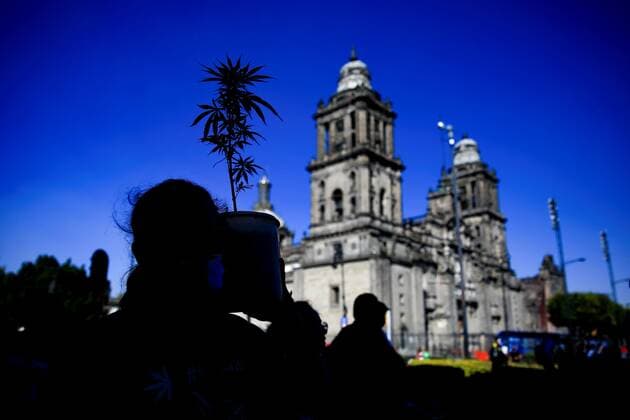 People show a marijuana plant in the Zocalo, in Mexico City, Mexico, 09 March 2021 (Issued 10 March 2021). The Mexican Chamber of Deputies approved this Wednesday the legislation that regulates the consumption, cultivation and trade of marijuana for recreational purposes throughout the territory, which will have to be ratified by the Senate before April 30. Mexico s Chamber of Deputies approves law on recreational marijuana use !ACHTUNG: NUR REDAKTIONELLE NUTZUNG!  Copyright: xCarlosxRamirezx MEX6658 20210310-637510162311465452