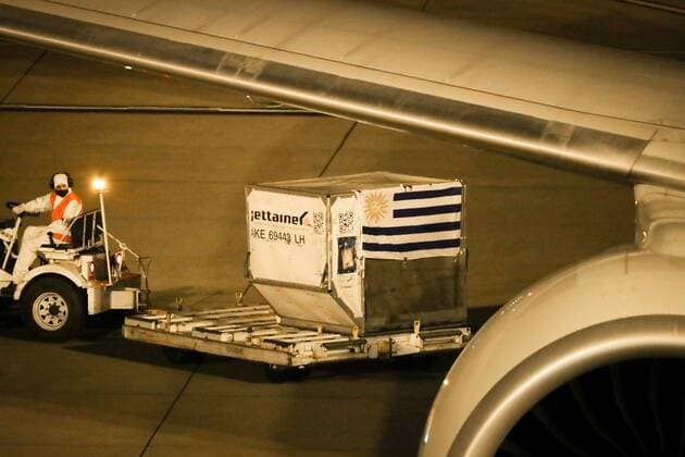 Personnel from Uruguay s Carrasco international airport work on the unloading of the plane that transported the first 50,000 doses of the vaccine, from the Pfizer laboratory to Montevideo, Uruguay, 10 March 2021. The first 50,000 anticovid doses from the US laboratory Pfizer arrived in Uruguay on Wednesday and, with this, the inoculation of health personnel from the South American country will begin to add to the more than 140,000 people already vaccinated. EFE Raul Martínez First 50,000 doses of Pfizer vaccines against covid-19 arrive in Uruguay !ACHTUNG: NUR REDAKTIONELLE NUTZUNG!  Copyright: xRAULxMARTINEZx AME1128 20210311-637510251505406665